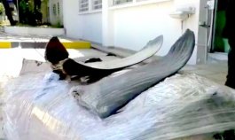 Aletas de tiburón.