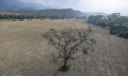 Se espera una fuerte sequía producto de la ausencia de lluvias./Foto Archivo