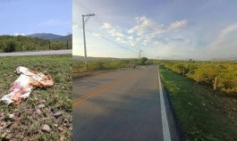 Vía Puerto Santander Atropello