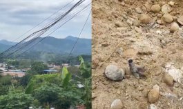 Ataque con drones El Tarra.