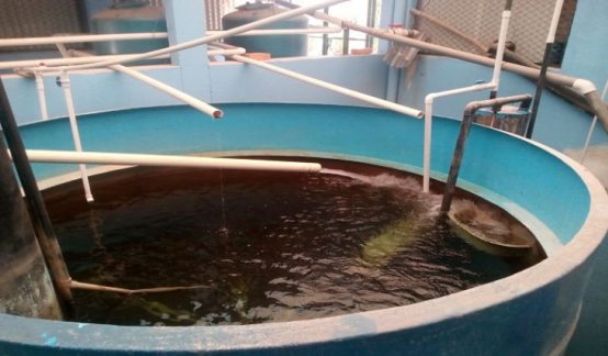El intenso verano afecta duramente el corregimiento de Aguas Claras de Ocaña.