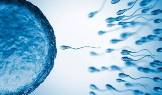OMS impulsa nuevos anticonceptivos masculinos: podrían llegar al mercado en 5 a 10 años