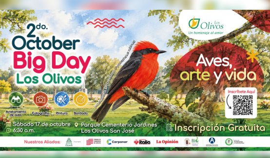 El Parque de Vida Los Olivos llega a 86 especies de aves registradas y se prepara para su segundo October Big Day
