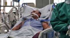 Se propone utilizar las células madre como tratamiento para normalizar el intercambio de gases y reducir los edemas pulmonares que se presentan por la COVID-19. / Foto: Colprensa