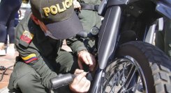 Califican como oportuna y necesaria esa marcación para evitar el hurto. 