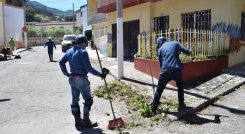 Las zonas verdes y espacio público son intervenidos con frecuencia./ Foto: Cortesía.