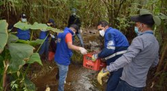 En la jornada se recolectaron botellas, bolsas con basura, materiales y desechos vegetales./ Foto: Cortesía.