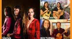 Día Nacional de la Música Colombiana