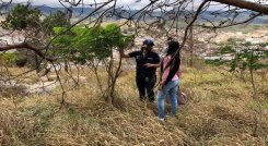 La misión es salvar los cerros tutelares cuya capa vegetal es arrasada por los incendios forestales y las construcciones. /Cortesía/ La Opinión 