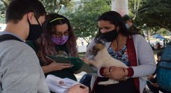 Van a hacer jornadas de vacunación contra la rabia. Al igual que esterilizaciones de machos y hembras para completar en los próximos meses un total de 75 animales./ Cortesía