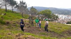 Los planes de reforestación continuarán en el cerro de la Santa Cruz y todos los parques. / Cortesía 