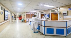 La situación se agrava ante la escasez de insumos como sedantes y relajantes musculares. /Foto: Cortesía/ La Opinión 