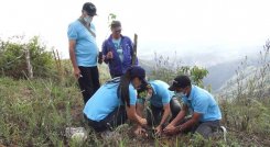 Se han adquirido 650 hectáreas para la siembra. / Cortesía