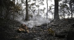 El sur de Italia sigue ardiendo entre temperaturas récord./Foto: Archivo- Colprensa