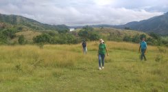 Los ingenieros adelantan los estudios pertinentes para iniciar la siembra. / Cortesía/ La Opinión 