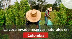 Reservas Naturales en Colombia