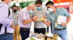 corregidores presentaron informes al alcalde sobre los corregimientos./Foto Cortesía