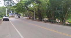 zulia