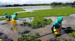 El premio reconoce esfuerzo ambiental de las empresas.