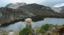 Fuentes de agua