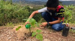 La Unidad Técnica Ambiental promueve programas ecológicos entre la población infantil.  / Cortesía/ La Opinión 