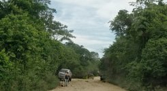 A la puja por este contrato de $65.800 millones que hace parte del programa ‘Concluir y concluir para la reactivación de las regiones’, impulsado por el Gobierno Nacional, se habían presentado solo dos oferentes. / Foto: Archivo