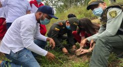 En el marco de la celebración del día del árbol los niños son los protagonistas sembrando especies nativas en Ocaña.