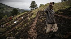 Una empresa comprometida con el ambiente y el cambio climático.