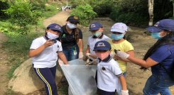 Sembraron 50 individuos nativos forestales de Guayacán Amarillo. Foto: Cortesía / La Opinión 