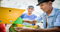 El fríjol se ha convertido en la línea de producción con grandes ventajas en la provincia de Ocaña. Se suscriben convenios para la comercialización del grano a nivel nacional. / Foto: Cortesía / La Opinión 