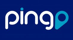 Pingo, aplicación cucuteña para conectar empresas con clientes.