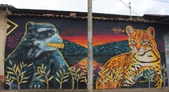 Los murales impulsan el agroturismo ecológico, en Chitagá. Foto: Cortesía/La Opinión.