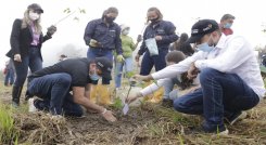Con especies nativas se adelanta la reforestación de los centros poblados en el marco del Día Internacional de la Eliminación de la Violencia Contra la Mujer. / Foto: Cortesía / La Opinión 