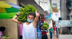 Los trabajadores informales de las plazas de mercado serán capacitados sobre los riesgos atinentes a sus oficios. / Foto: Cortesía / La Opinión