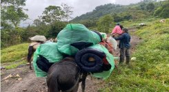 El equipo duró 12 horas para llegar a la escuela de Cascajal. Foto: Cortesía/La Opinión.