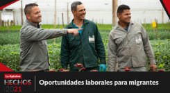 Oportunidades laborales para migrantes.