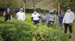Un banco germoplasma para la producción de especies nativas funciona en zona rural del municipio de Ocaña. El material es utilizado en la reforestación de las cuencas hidrográficas.
