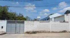 Una gran polémica se ha suscitado en torno a la suspensión temporal del sacrificio de cerdos en la Plata de Beneficio Animal de Ocaña.