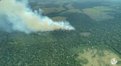 Enero registró el valor más alto de puntos de calor de los últimos 10 años para los biomas de la Amazonía. / Foto: Colprensa