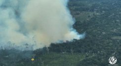 Alerta en Amazonía colombiana por incendios forestales en 2022./Foto: Colprensa