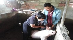 Las mujeres de la vereda Llano Verde, jurisdicción del corregimiento Quebrada de la Esperanza, se convierten en ejemplo digno de imitar por su organización.