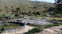 Un novedoso sistema para el ahorro de agua en la cría de peces, se implementa en la vereda Santa Lucía de Ocaña. Una estrategia intensiva de uso de energía renovable con paneles solares.