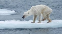 cambio climático