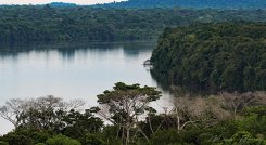 Río Vaupés