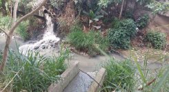 Luego de tanta lucha por conseguir recursos, están a punto de perderse 10 mil millones de pesos para los cruces especiales del Plan Maestro de Alcantarillado.