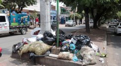 No caiga en multas: lo que debe saber sobre las basuras que no se recogen