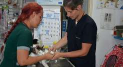 Un día de hospitalización de un animal cuesta de entre 100.000 y 200.000 pesos. / Foto: Leonardo Favio Oliveros