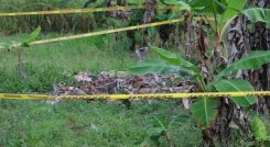 Mujer fue asesinada por su pareja cuando intentó defender a su hijo./Foto: Colprensa