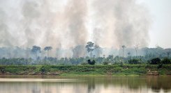 Incendio forestales en la Amazonía.