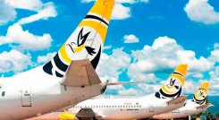Turpial Airlines